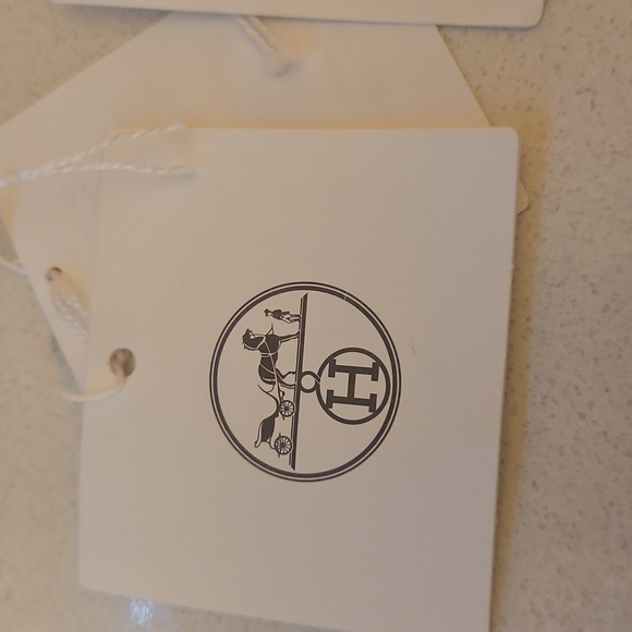 Hermes Vibrant Blue Bikini Set - Picture 9 of 11